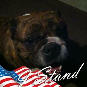 Meet your Posher, Jaimie